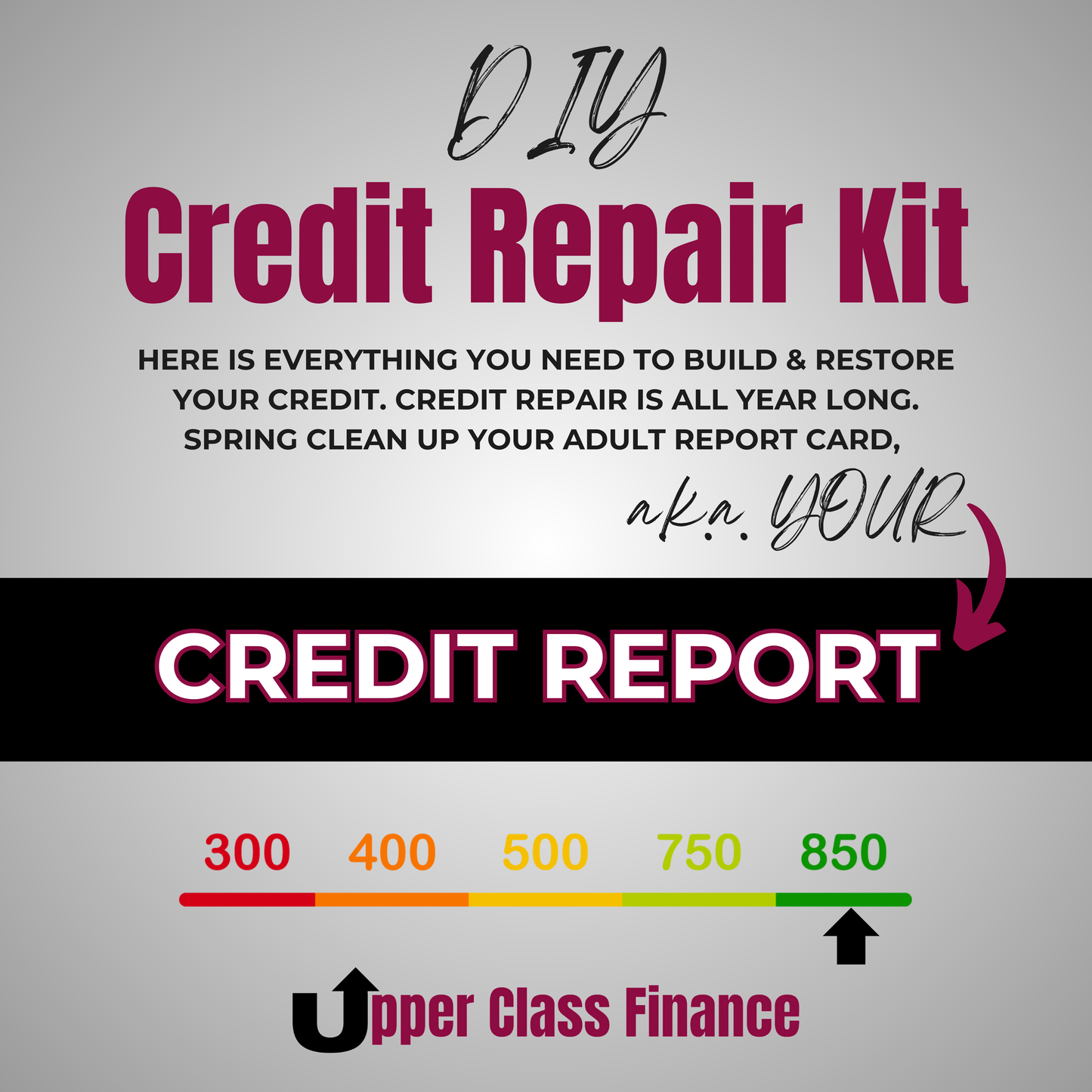 DIY Credit Repair Kit - Spring Clean Up Your Credit Report (Instant eBook Download)
